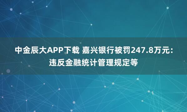 中金辰大APP下载 嘉兴银行被罚247.8万元：违反金融统计管理规定等