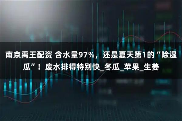 南京禹王配资 含水量97%，还是夏天第1的“除湿瓜”！废水排得特别快_冬瓜_苹果_生姜